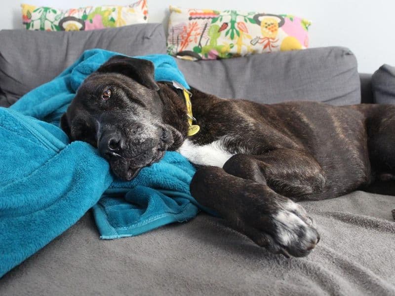 Max photo 2