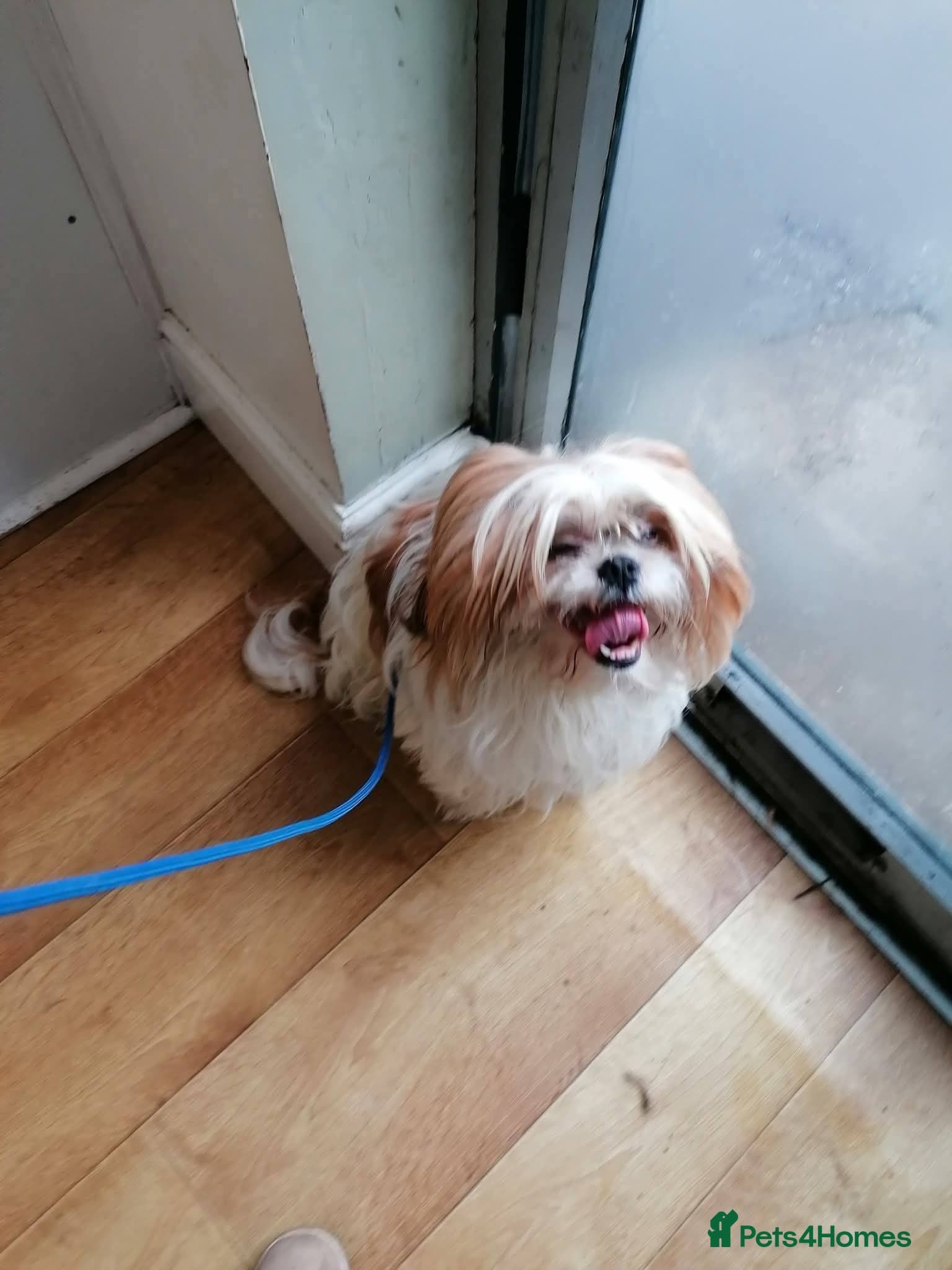 Ralph photo 16