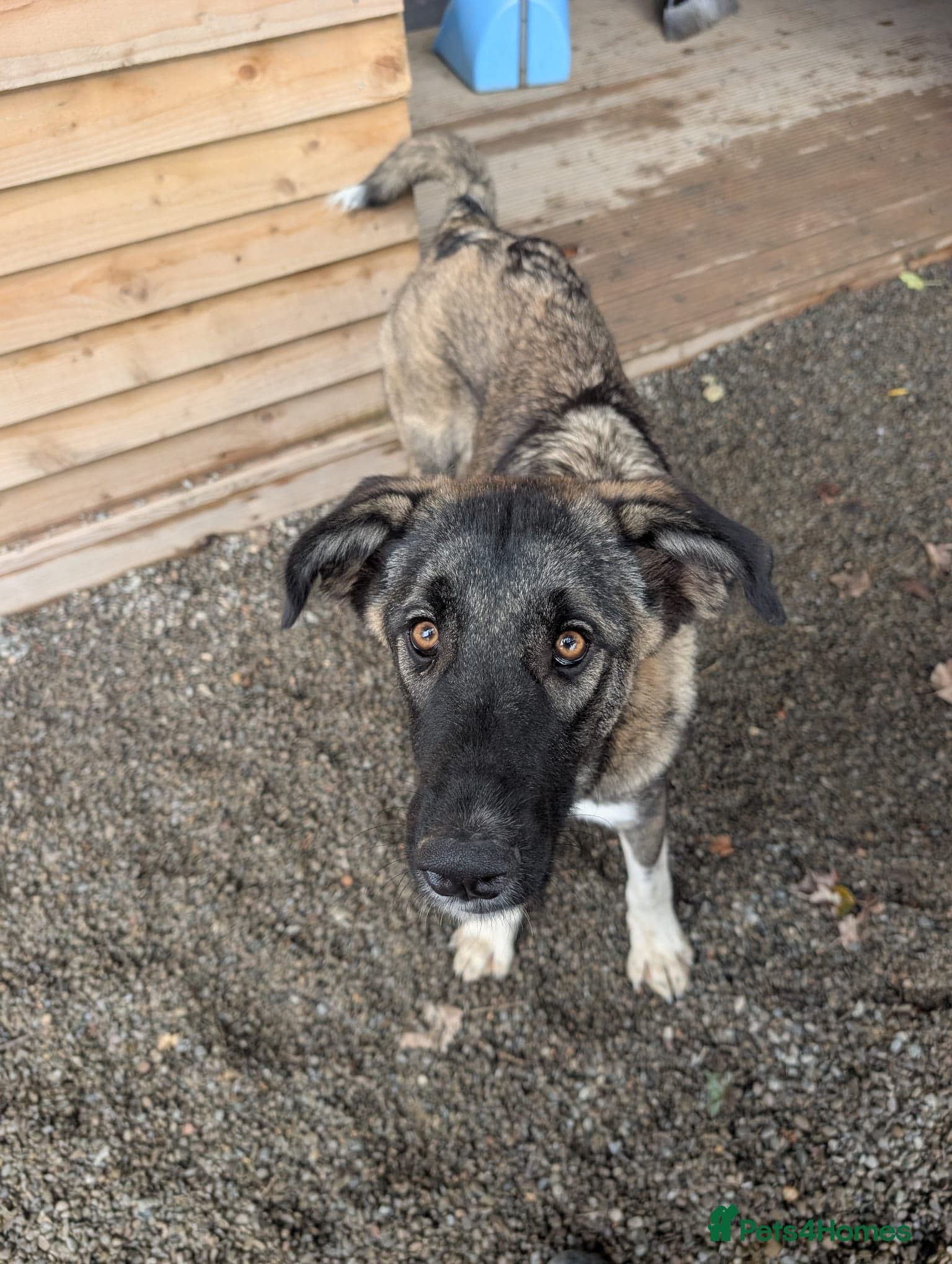 Skye - In Ayr photo 15