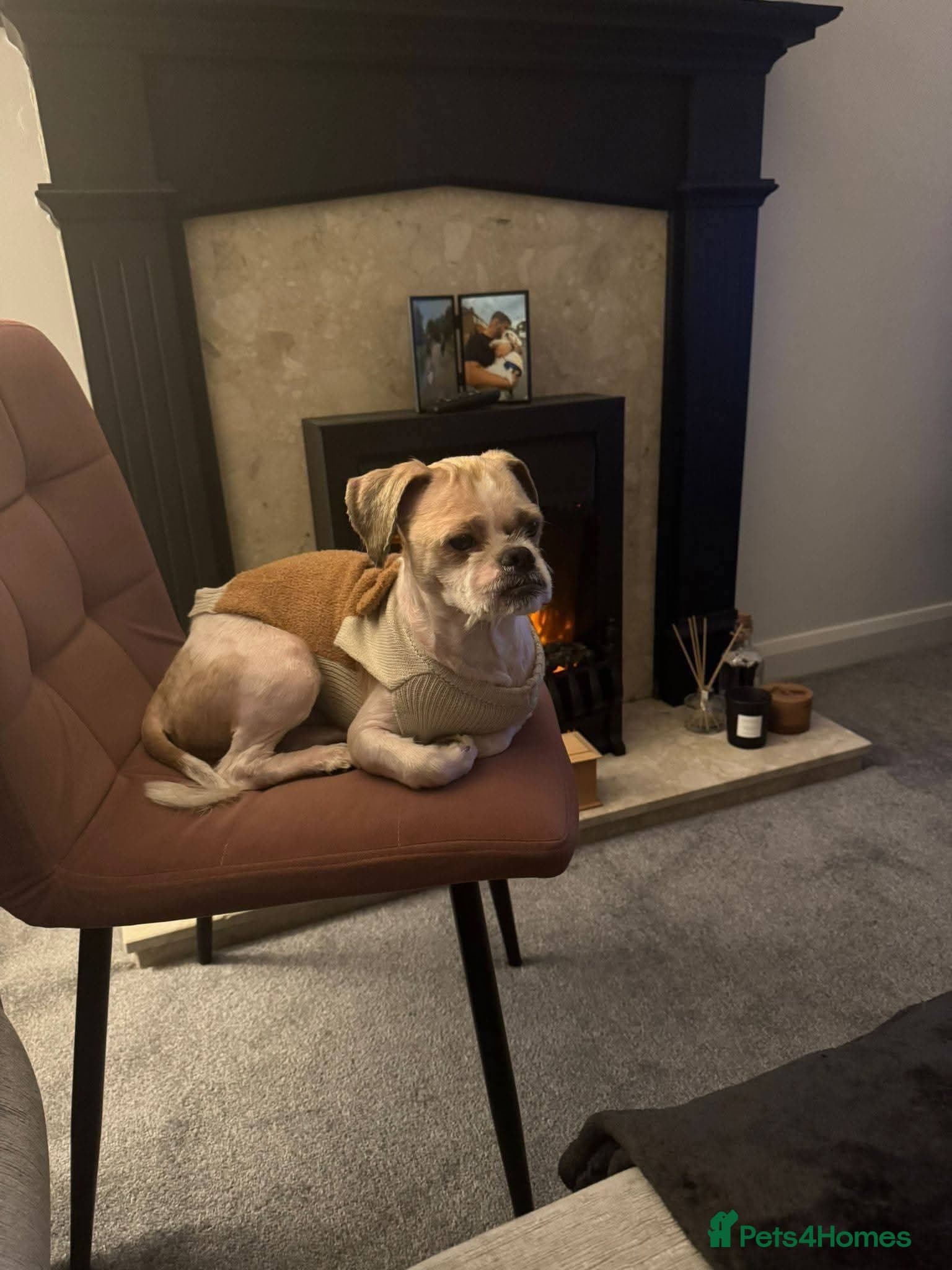 Ralph photo 3