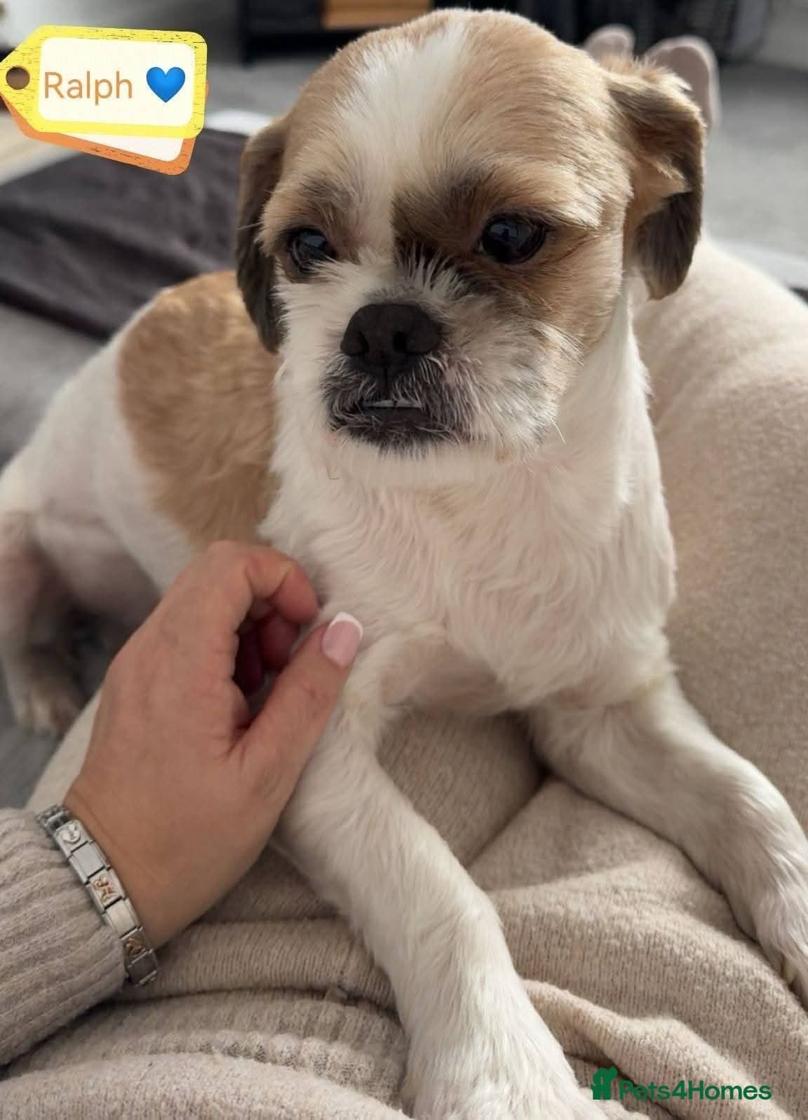 Ralph photo 2