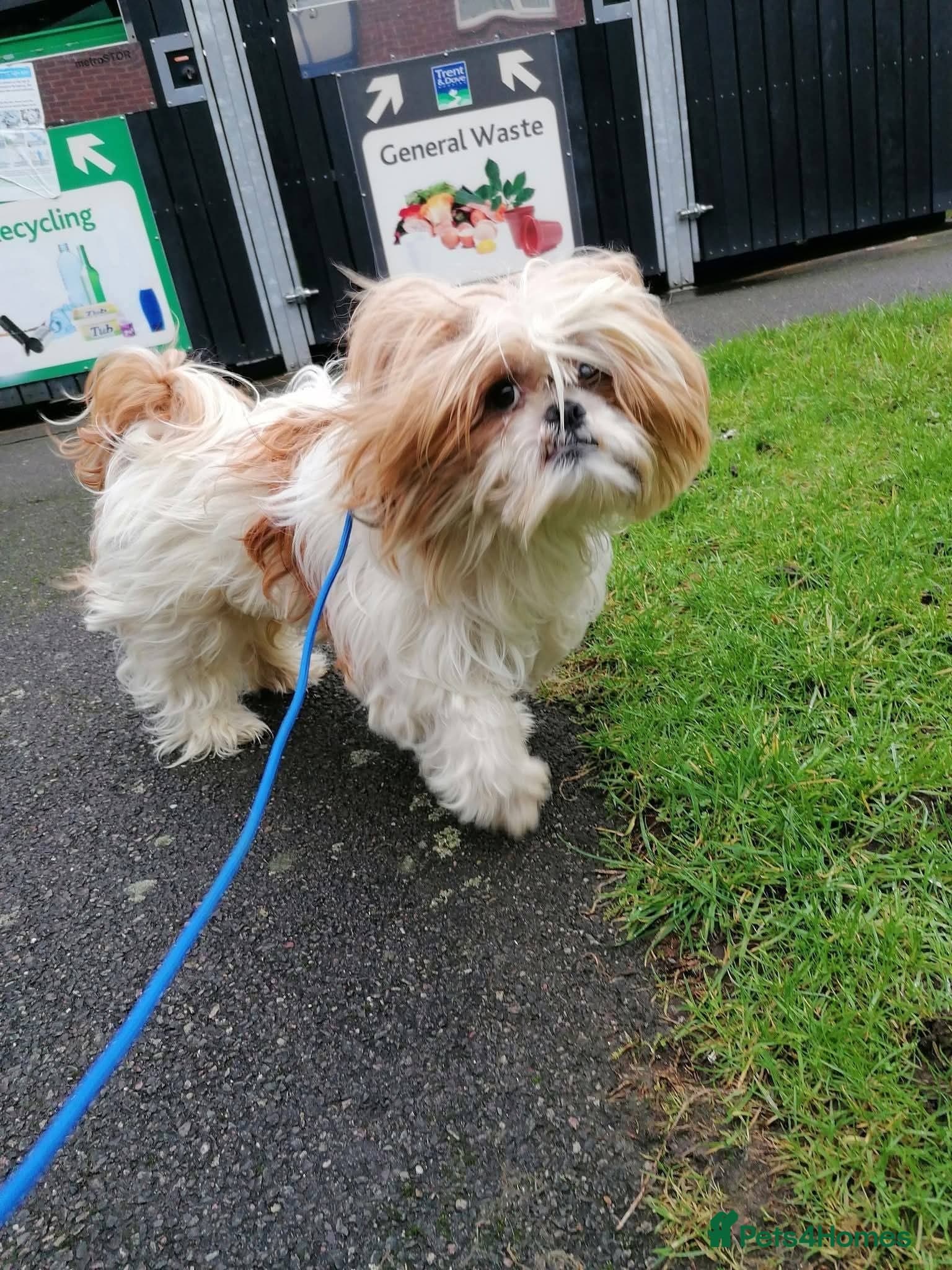 Ralph photo 7