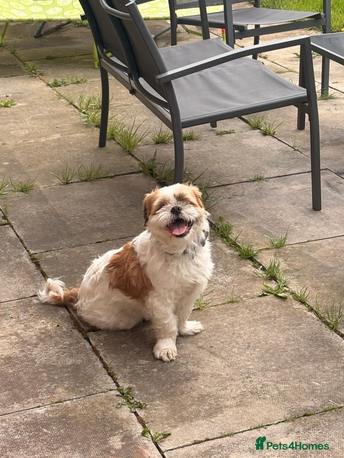 Ralph photo 11